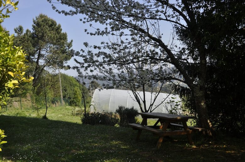 Hostal Albergue Tur�stico Alvarella