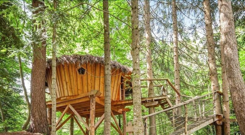Bed & Breakfast Cabanes Et Yourtes de La Vall�e de L'ance