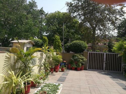 Bed & Breakfast Jumeirah Villa