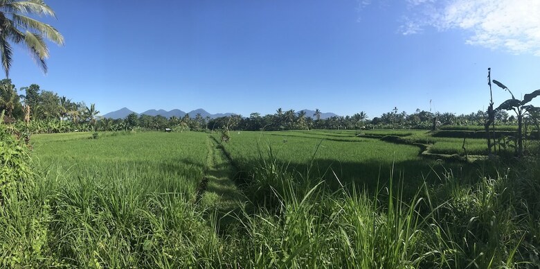 Jungle Bubble Lodge Ubud - Campsite