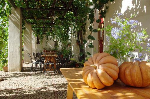 Agroturismo Baglio Fontanasalsa