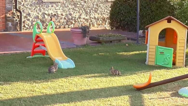 Agroturismo Appartamenti La Pineta