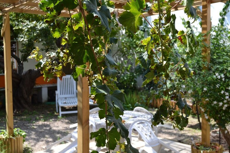 Agroturismo La Casa Rural de Carlos