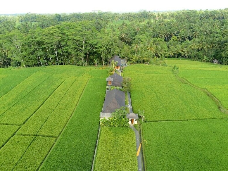 Bed & Breakfast Puri Raya Villa Ubud