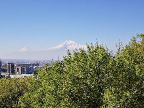 Apartamento Peaceful Oasis In The Center