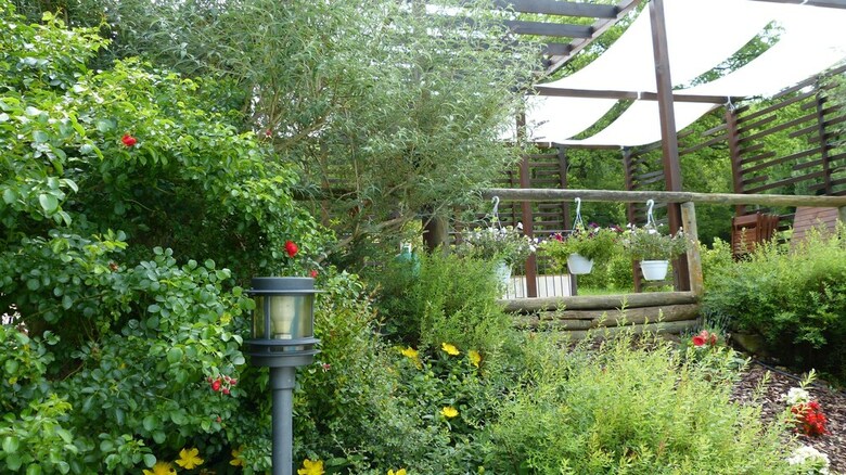 Agroturismo Cerqua Rosara Residence