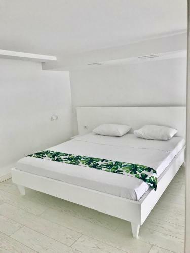 Luxury Apartments