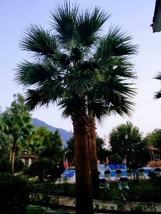 Bed & Breakfast Gorkem Hotel & Apartments