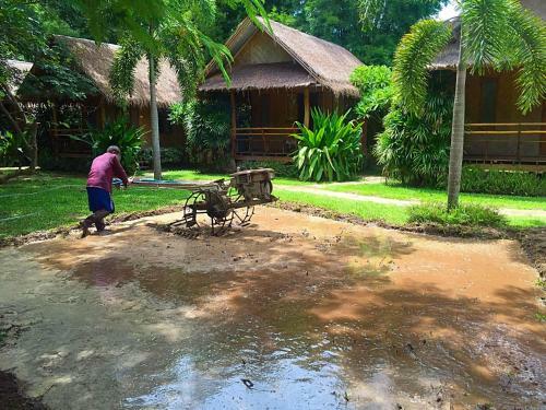 Hotel Pai Phu Fah Resort