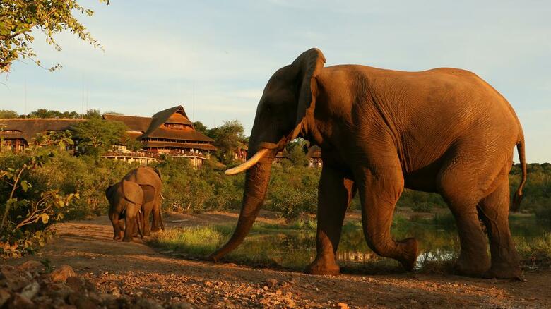Hotel Victoria Falls Safari Suites