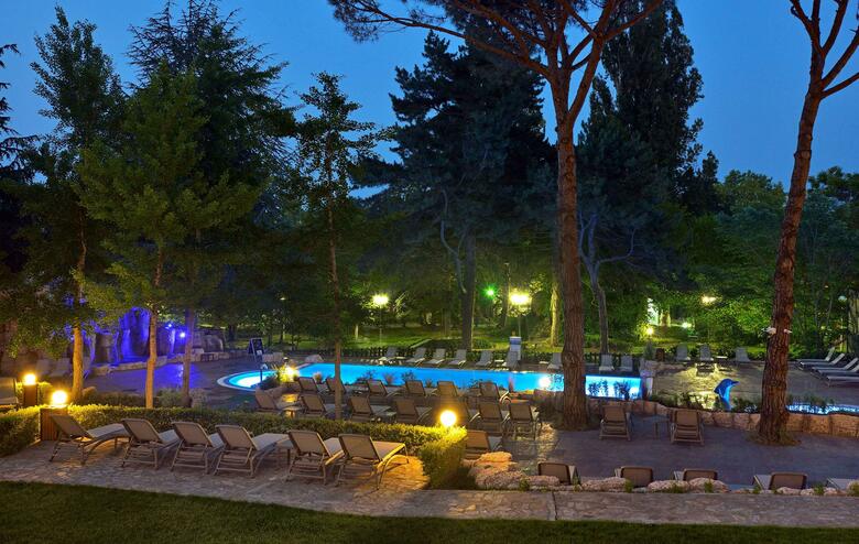 Hotel Meli� Grand Hermitage