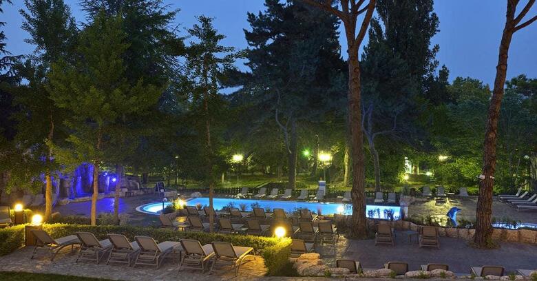 Hotel Meli� Grand Hermitage