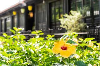 Hotel Hoi An Town Home Resort