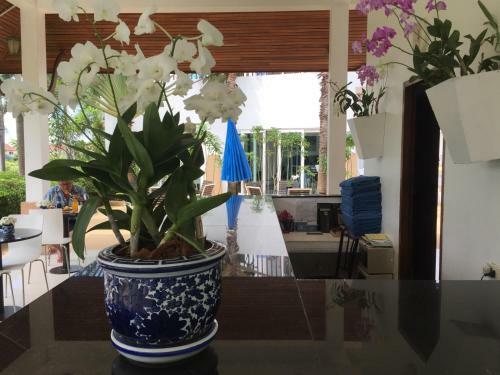 Aparthotel Nadivana Serviced Apartments