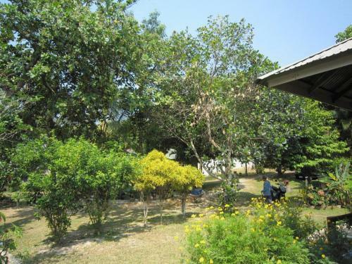 Adam Bungalow