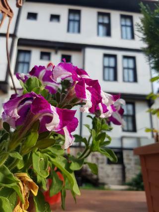 Hotel Boutique Kastamonu Kadioglu Konagi
