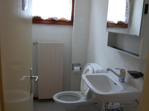 Apartment Rosablanche III Siviez