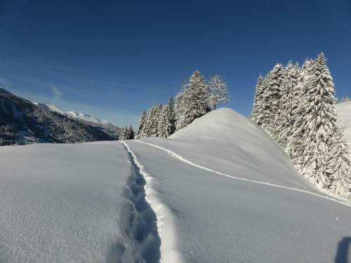 Posada Berghaus Alpenr�sli