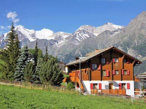 Apartment Bergfink I Grachen