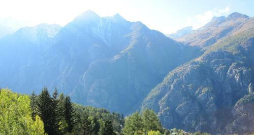 Apartamentos Waldheim