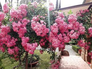Hotel Villa Curina Resort