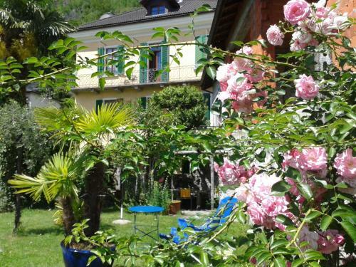 Hostal Casa Gialla