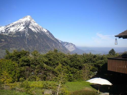Chalet Tannegg