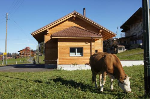 G�stehaus Myhideaway