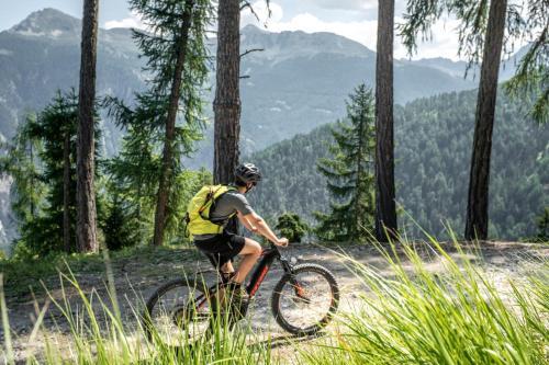 Hotel Victoria