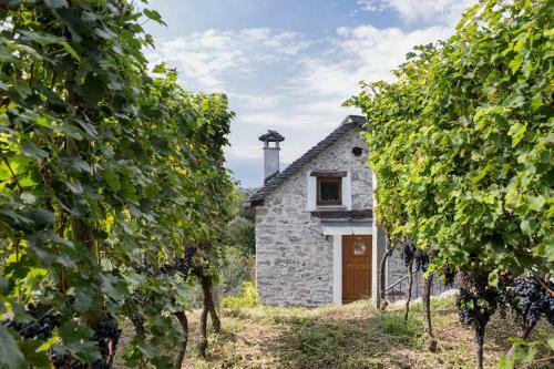 Hotel Fattoria L'amorosa