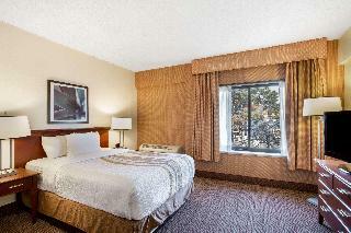 Hotel La Quinta Inn & Suites New Haven