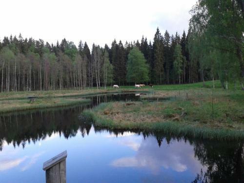 Agroturismo Pensionat S�gknorren