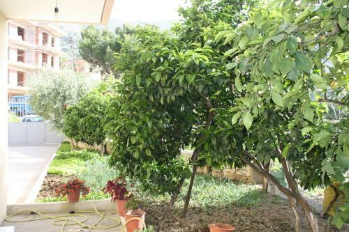 Apartamentos Guest House Riki