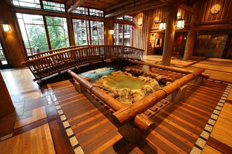 Hotel Disney Wilderness Lodge