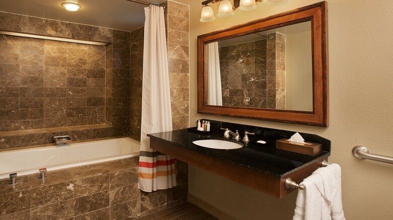 Hotel Disney Wilderness Lodge