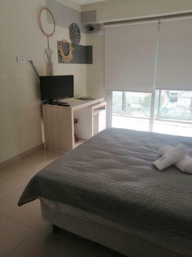 Apartamento Depto Grande Barrio Sur