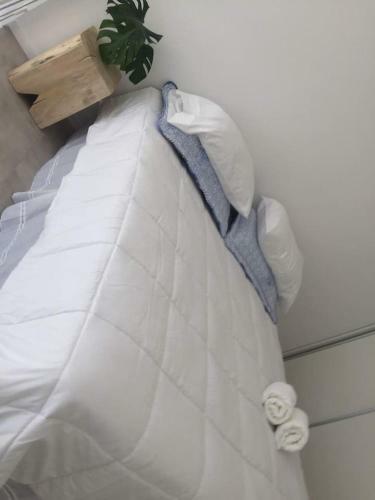Apartamento Oasis En El Barrio - Loft Increible!