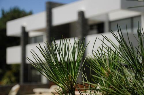 Hotel Complejo Pinar Del Sol