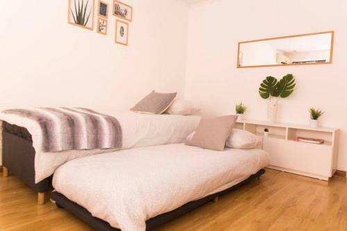 Apartamento Belgrano Succulent Stay