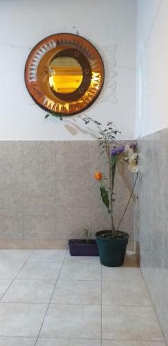 Hostal Hostel Congreso