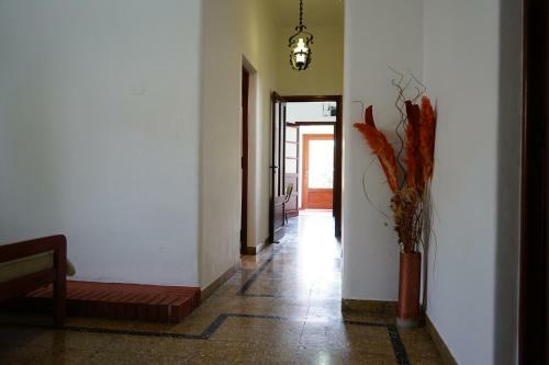 Apartamento Carhue Alquiler