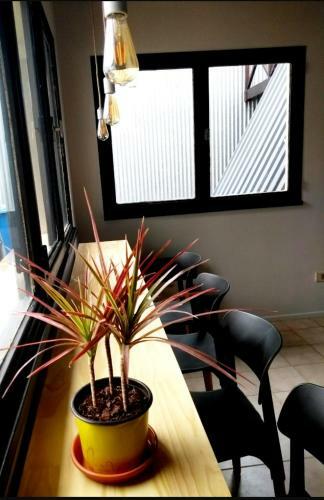 Trastienda B&B
