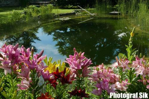 Bed & Breakfast G�stehaus Pointner