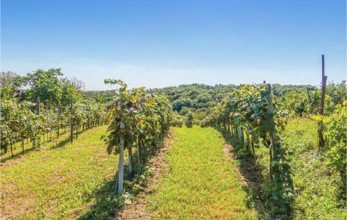 One-bedroom Holiday Home In Heiligenbrunn