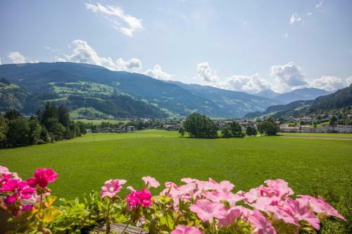 Hotel Pension Wiesenhof