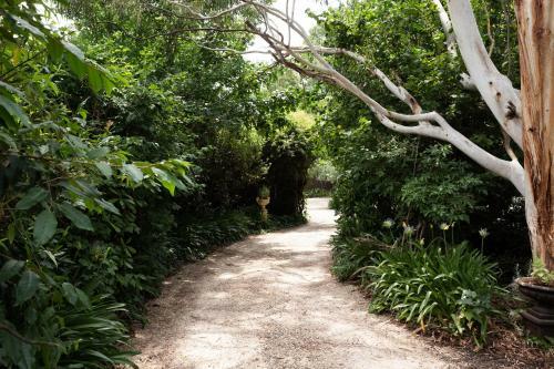 Oscar's Garden