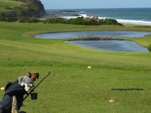 Jacks Ocean View Gerringong 4pm Check Out Sundays
