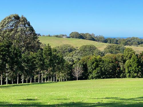 Byron Hinterland Farm - Minutes To Everything!