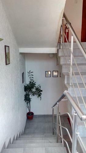Hostel Kosmopolit