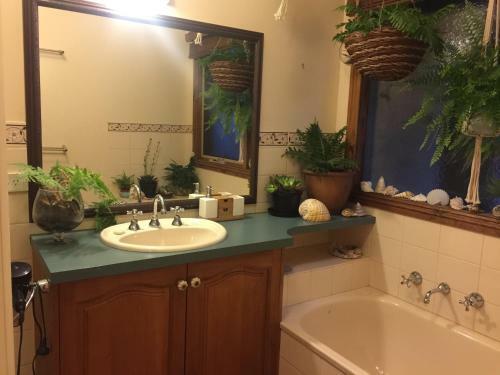 Bed & Breakfast Seaescape